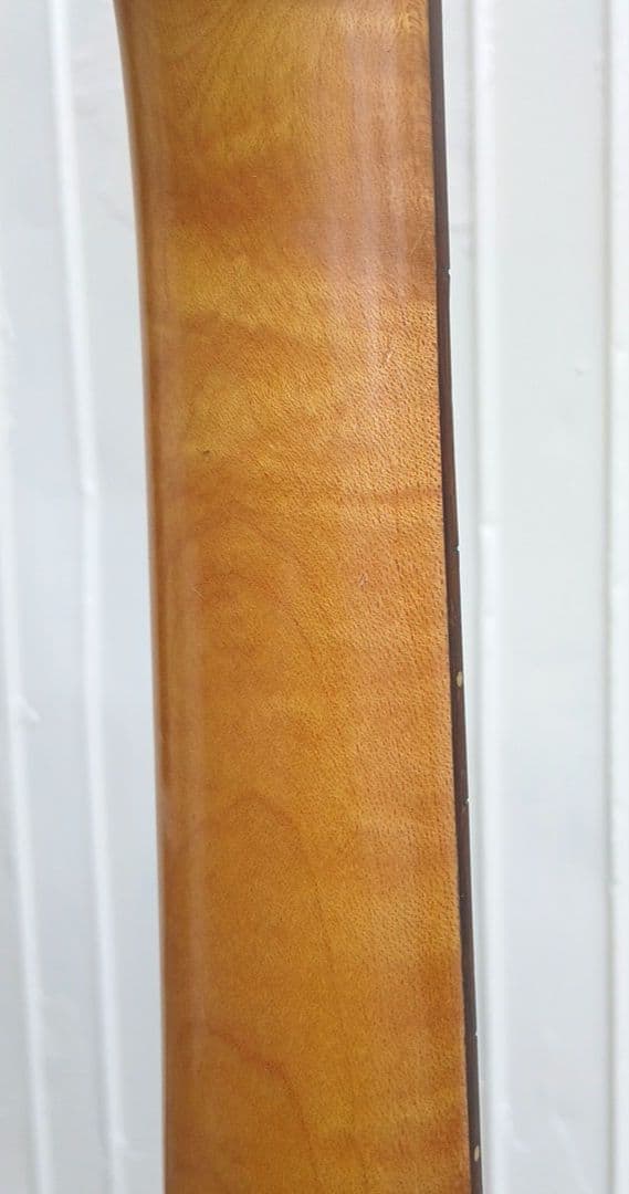 Aria Pro 2　コンポーネントエレキギター　レギュラースケール