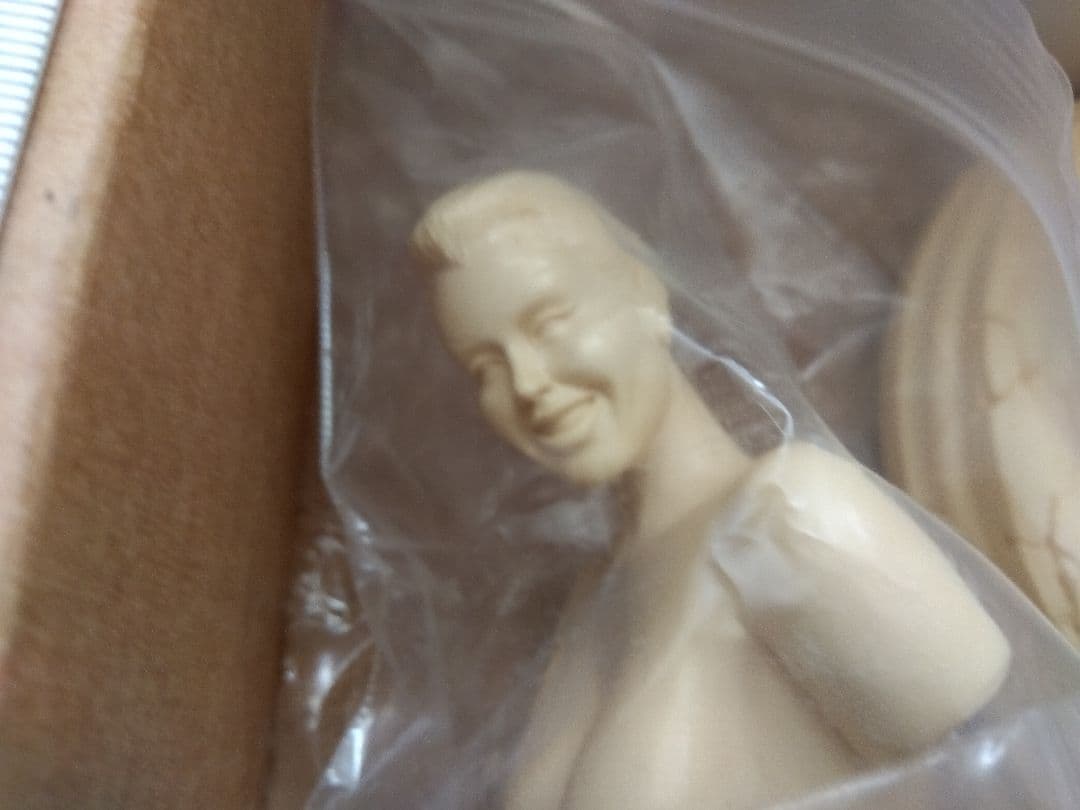 ●クープ デビルガールズ 1/6 ガレージキット フィギュア レッドデビル