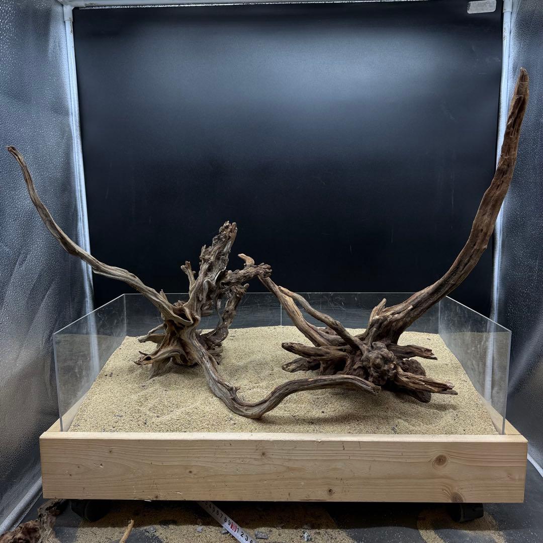 MSRW-7171 天然流木2本セット　スリムウッド　アクアリウム