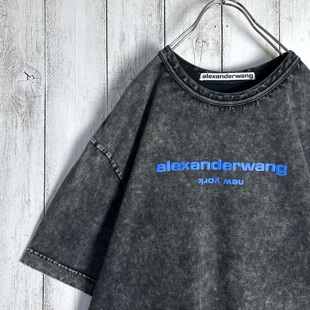 284【人気デザイン】アレキサンダーワン☆プリントロゴTシャツ ウォッシュド