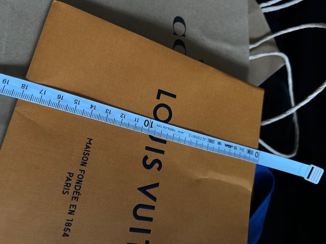 LOUIS VUITTON & COACH (２枚) ショッパー