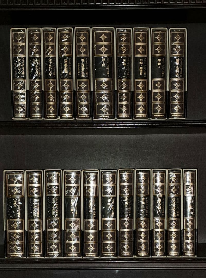 ドストエフースキイ全集全20巻別巻1