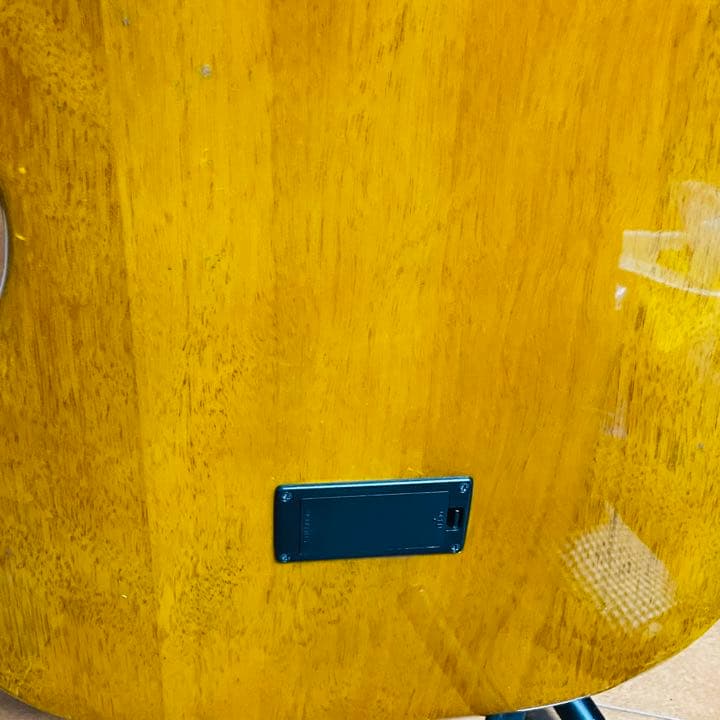 シェクター、Schecter　オリエンタルラインOL-FL/WHT　エレアコ