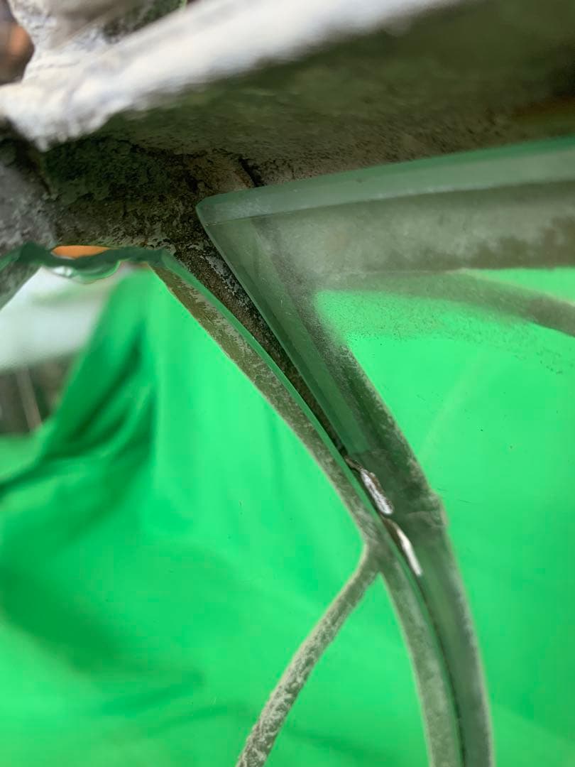 アンティークショーケース　キャビネットディスプレイ