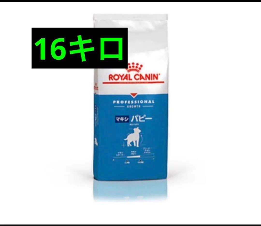  CANIN プロフェッショナル マキシ パピー 16kg