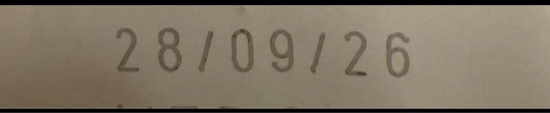  CANIN プロフェッショナル マキシ パピー 16kg