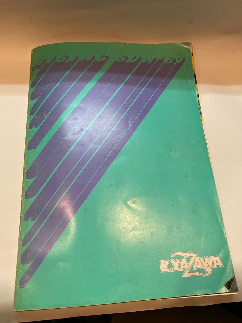 矢沢永吉　希少　サイン色紙　パンフレットRISING SUN