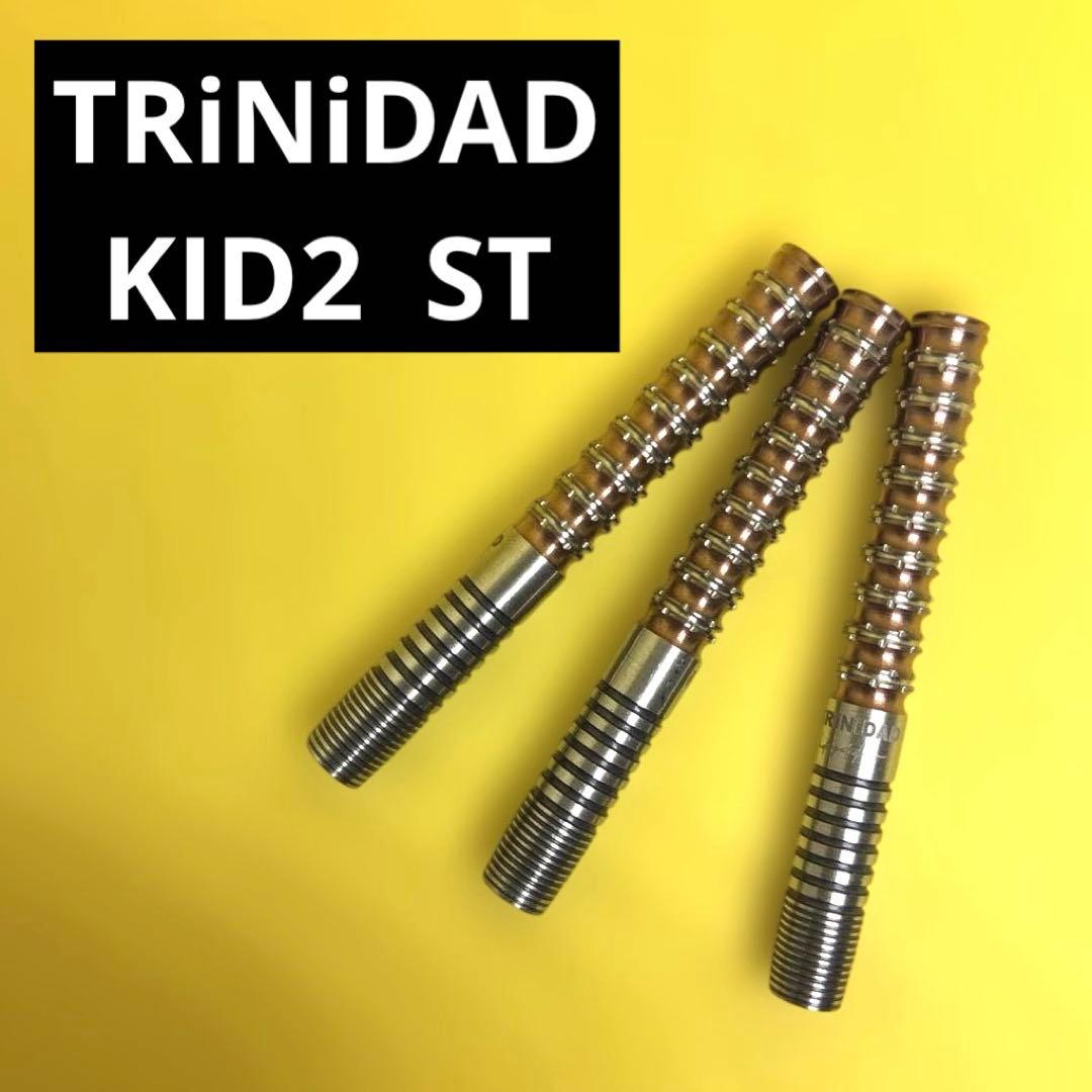 TRiNiDAD KID2 ST トリニダード キッド ダーツ バレル