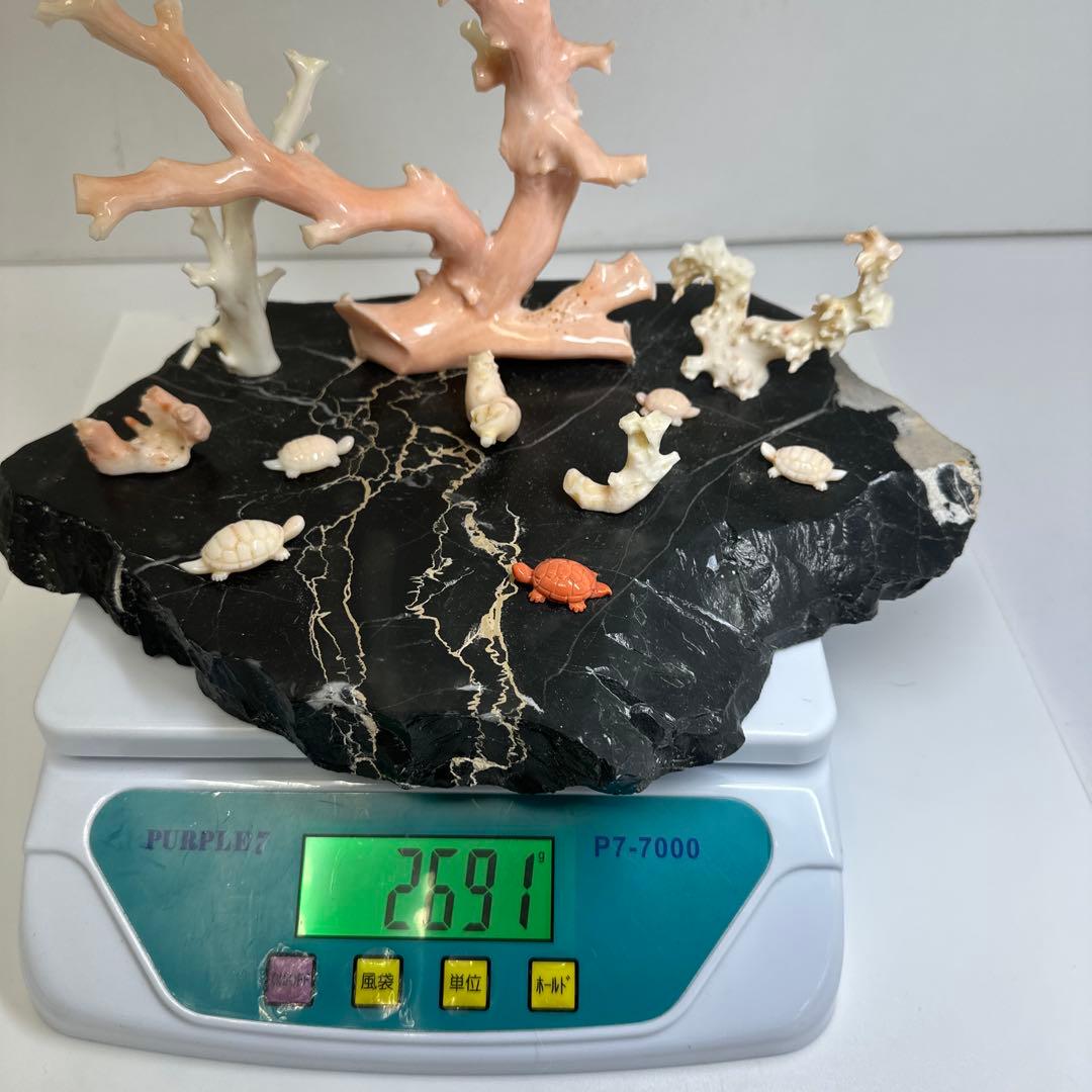 本ぼけ珊瑚　極太原木　赤珊瑚カメ　置物　約291gトコエ　東さ8-0104☆1F