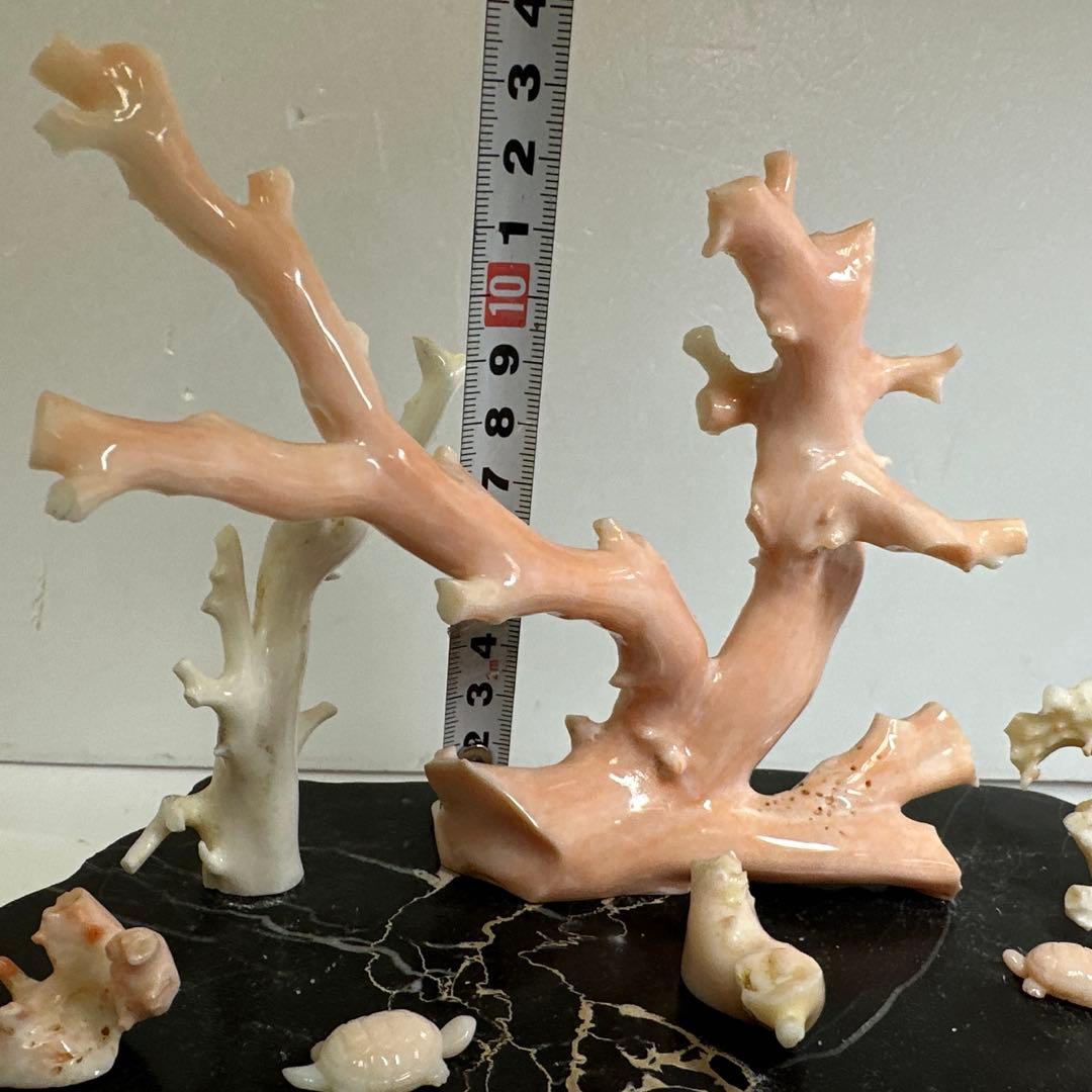 本ぼけ珊瑚　極太原木　赤珊瑚カメ　置物　約291gトコエ　東さ8-0104☆1F