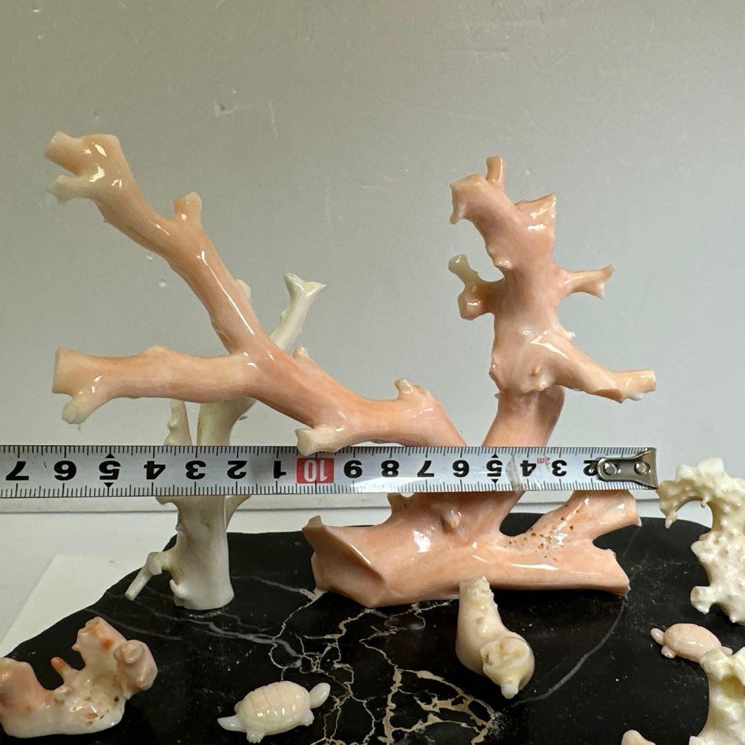 本ぼけ珊瑚　極太原木　赤珊瑚カメ　置物　約291gトコエ　東さ8-0104☆1F