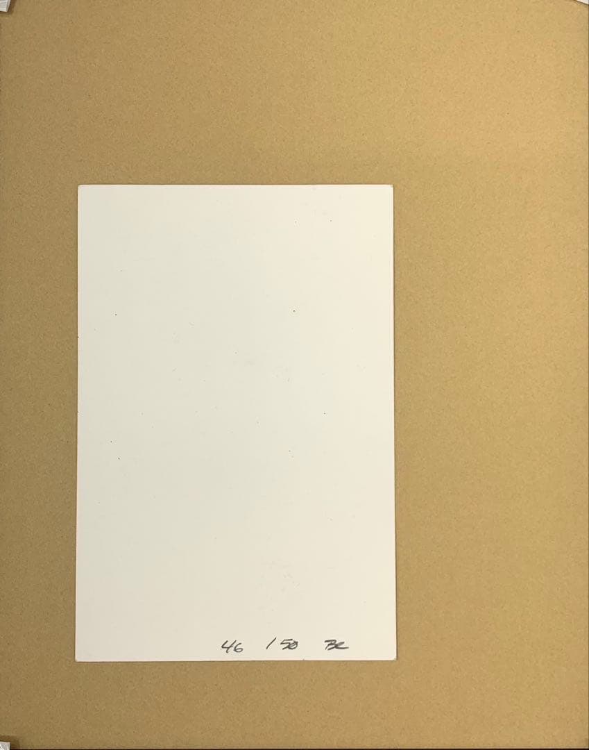 真作 非売品 Mike vallely マイクヴァレリー シルクスクリーン