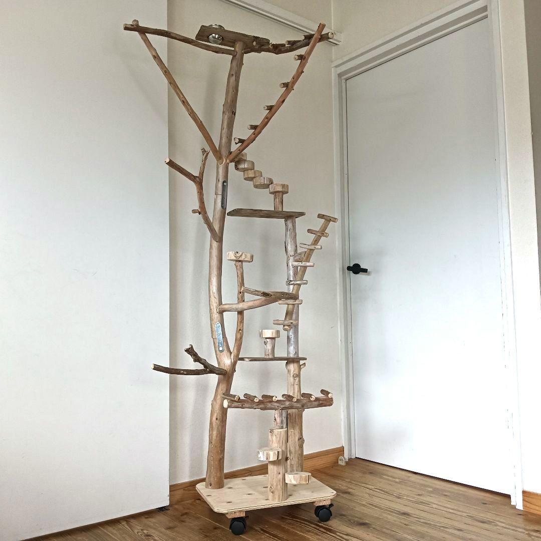 バードアスレチックジム大型 ⑫ 天然木 自然木 流木 インコ おもちゃ