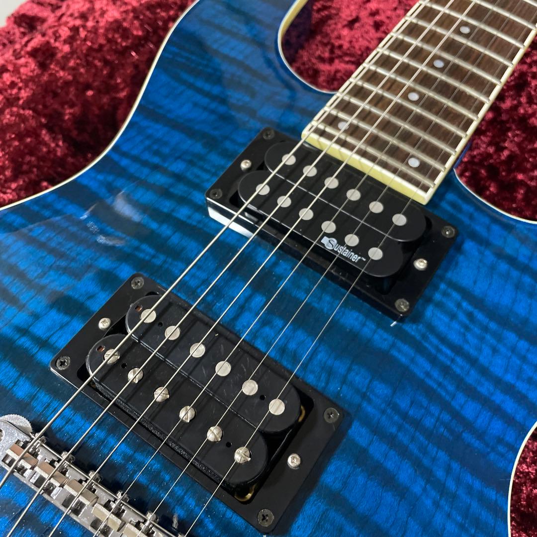 美品　フェルナンデス　APG -55S Blue