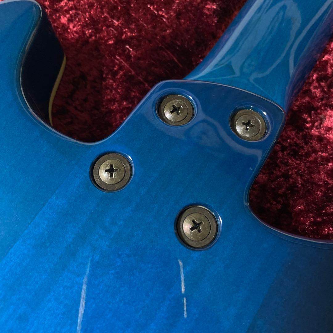 美品　フェルナンデス　APG -55S Blue