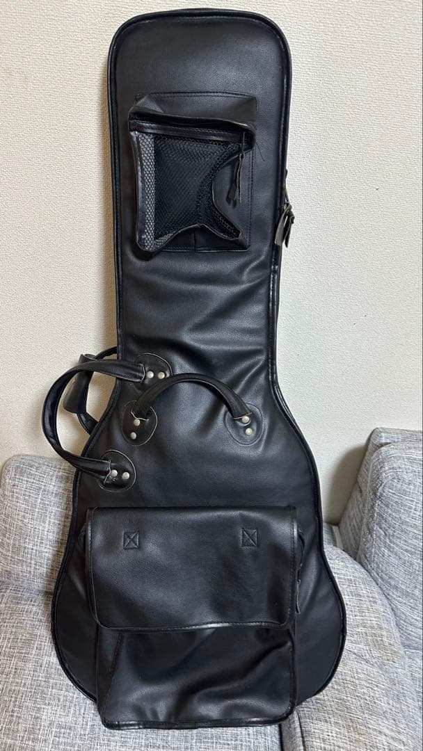 M*a様 DANELECTRO エレキギター ゴールド