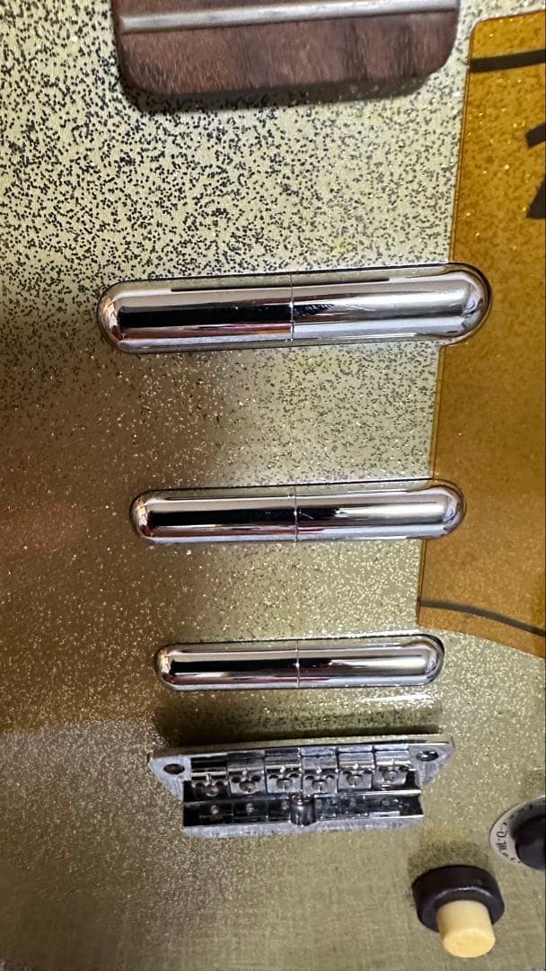 M*a様 DANELECTRO エレキギター ゴールド