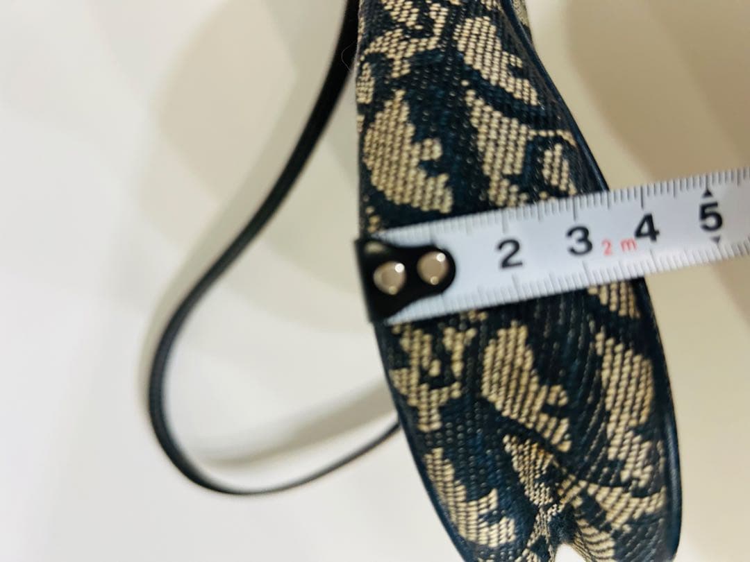 クリスチャン　ディオール　トロッター柄　サドルバック　Dior