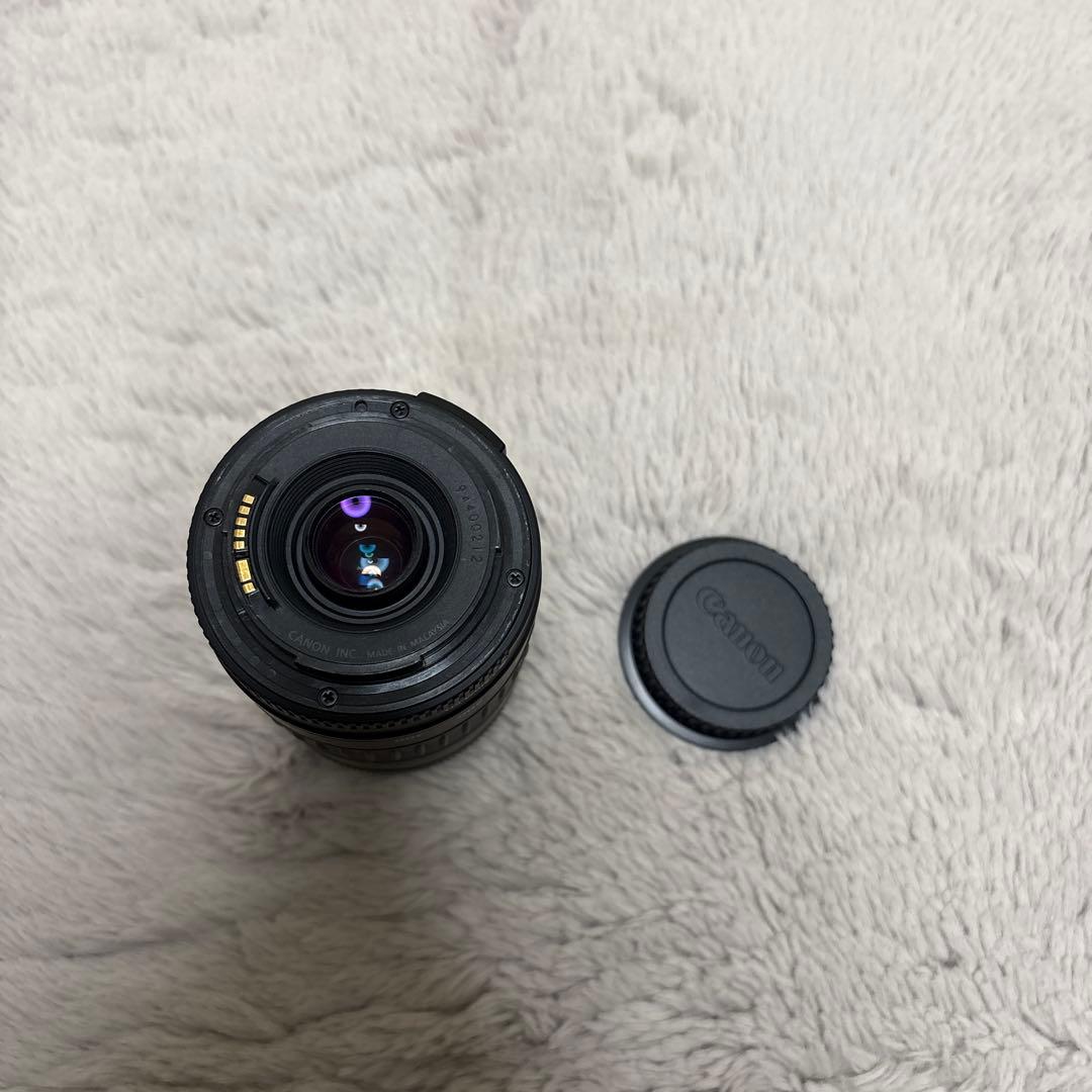 Canon EF 90-300mm ズームレンズ