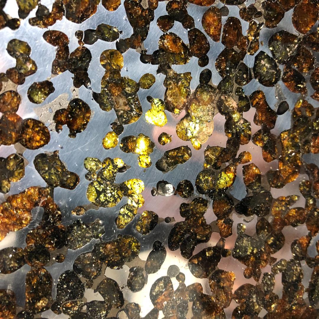 パラサイト隕石 隕石　石鉄隕石　セリコ隕石 美品　重さ約351ｇ