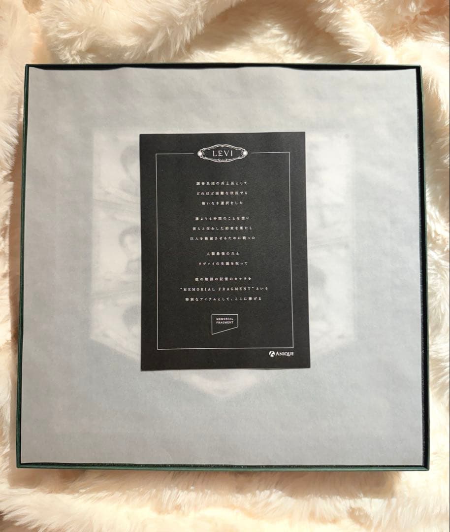 進撃の巨人　リヴァイ　アニーク