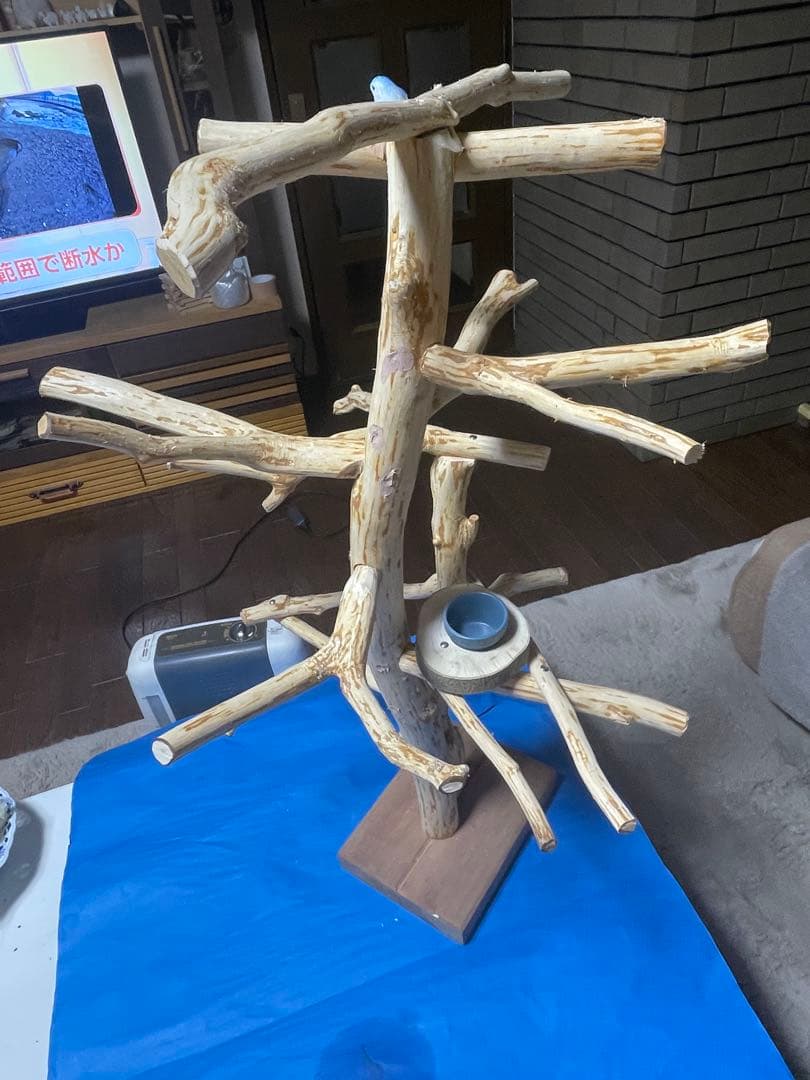 天然木白木バードジム　高さ92センチ