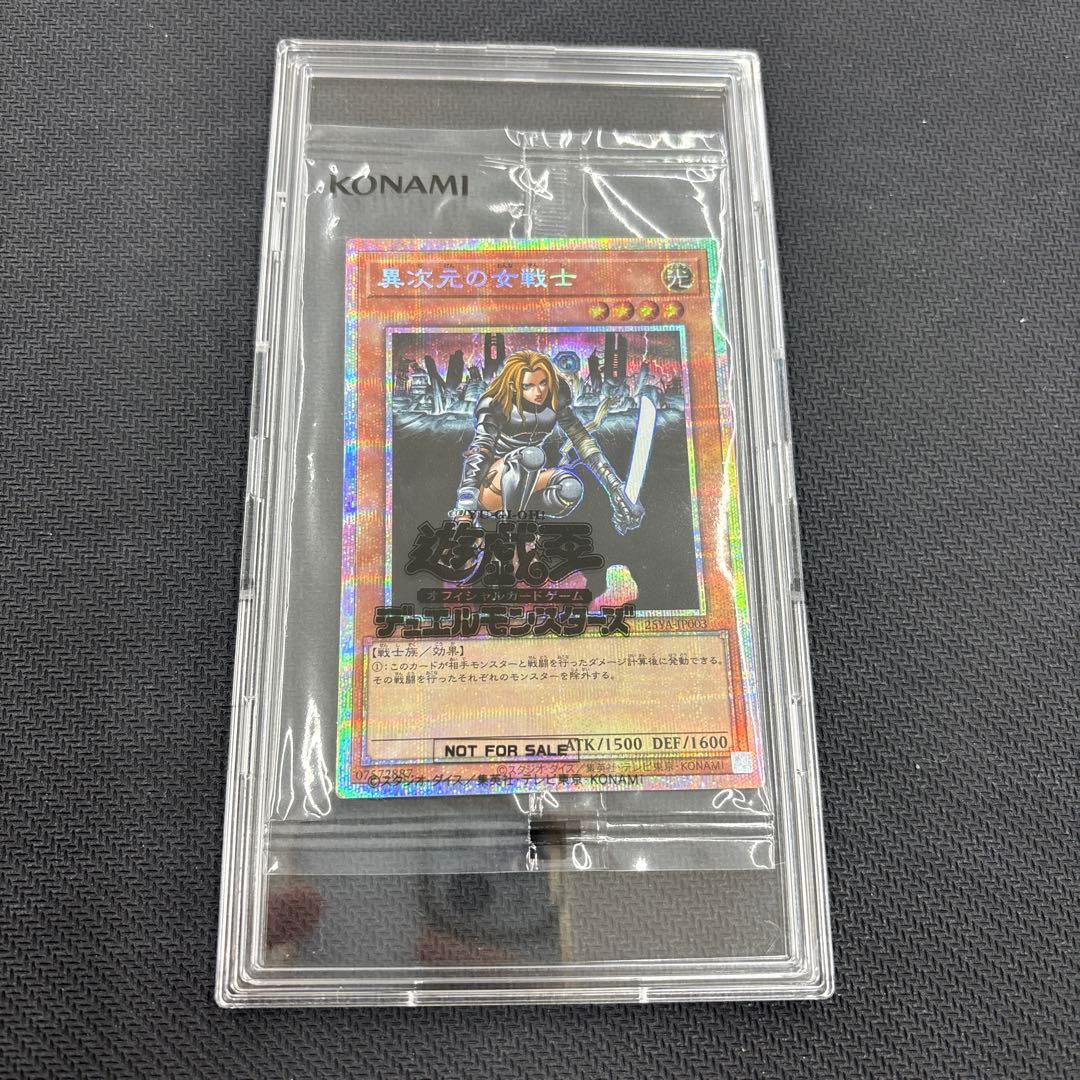 異次元の女戦士　プリズマ未開封