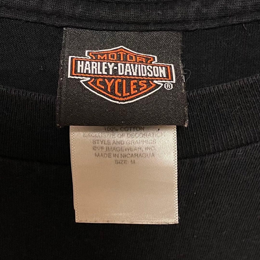 534【入手困難】ハーレーダビッドソン♤ビッグロゴ　希少　長袖ロンT 即完売品