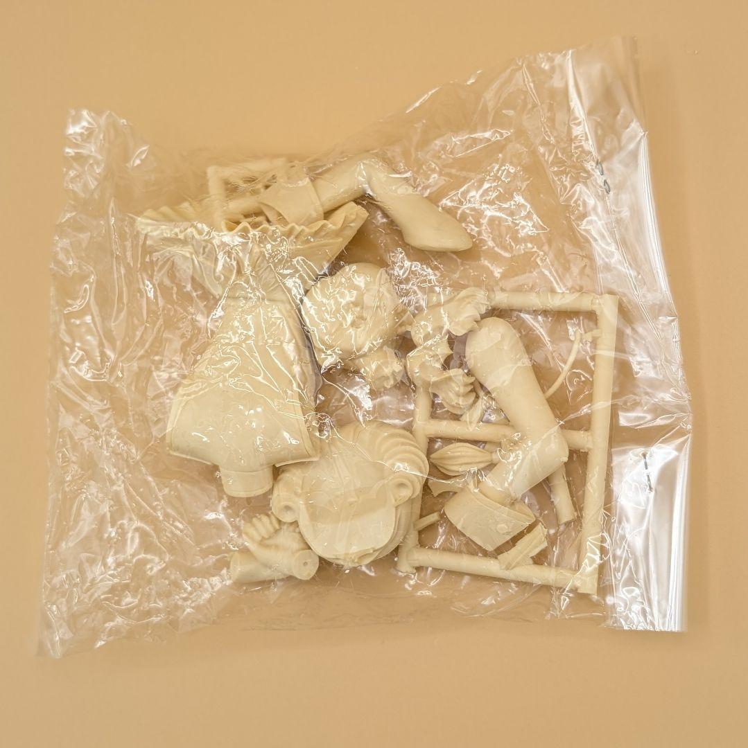 1/6 姫宮アンシー 薔薇の花嫁 ガレージキット レジンキャストキット ガレキ