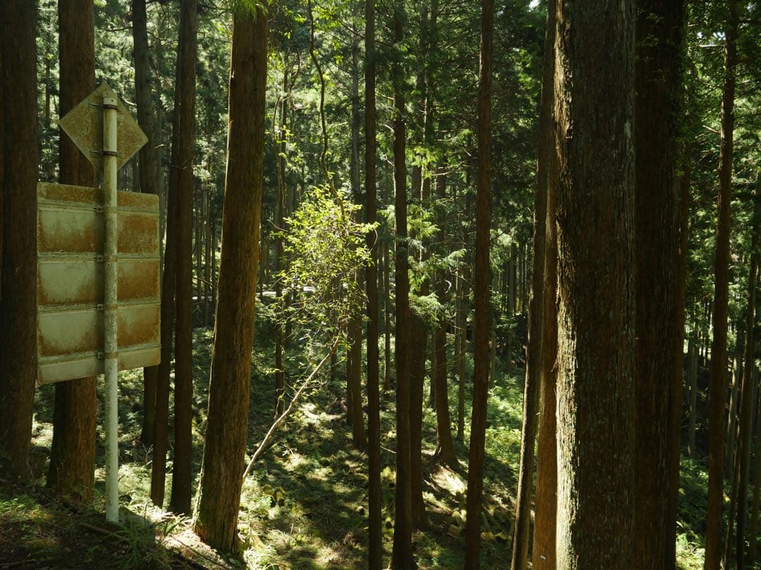 Panasonic LUMIX GX8 ミラーレスカメラ 15mmレンズ付き