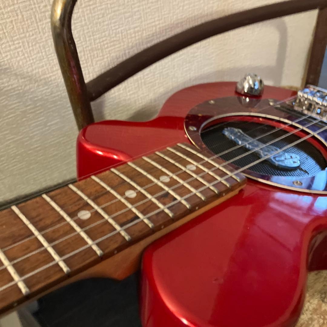 ピグノーズPGG レッド