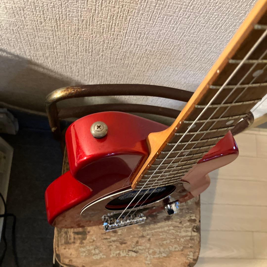 ピグノーズPGG レッド