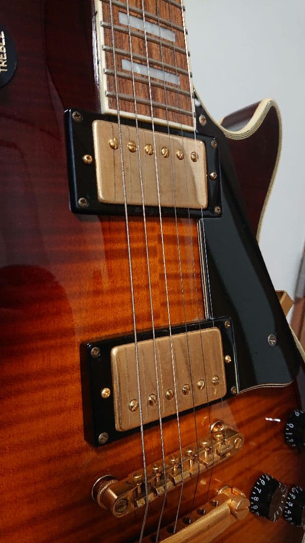 GrassRoots グラスルーツ エレキギター レスポール