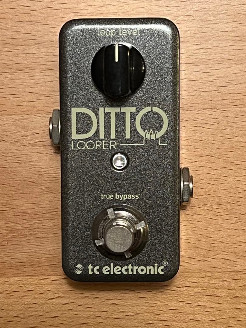 [限定セール] tc electronic Ditto Looper