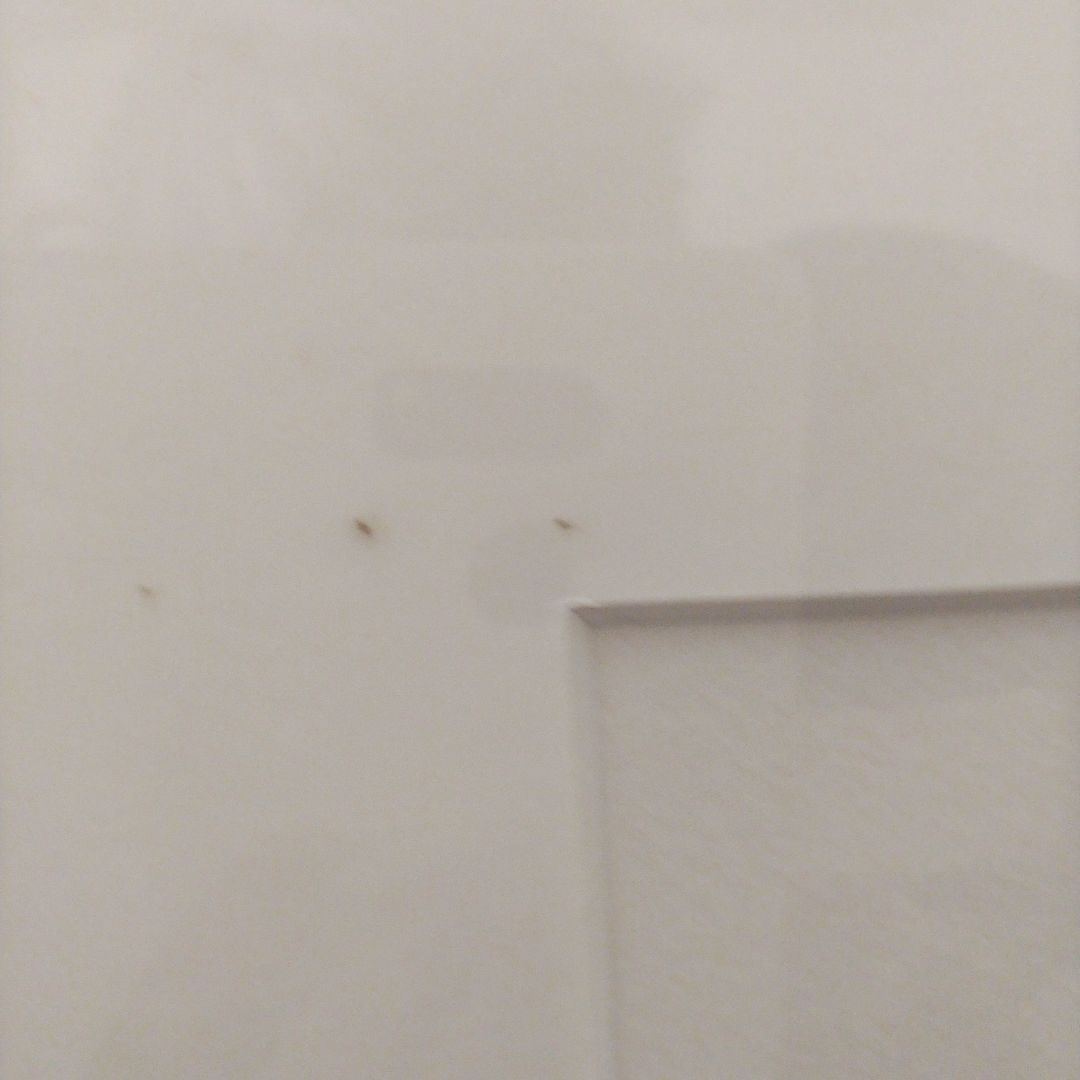 ◎仕方ない値！玉村豊男 作品　リトグラフ