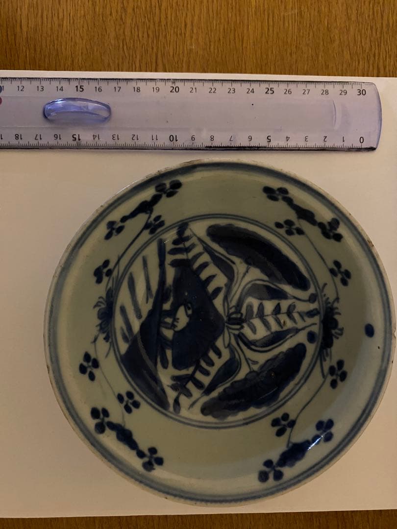 水草水禽文　古染付　平鉢