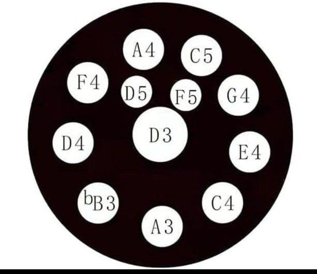 ✾ハンドパン 12音　約56センチ　Dマイナー シルバー 楽器　ヨガ　瞑想