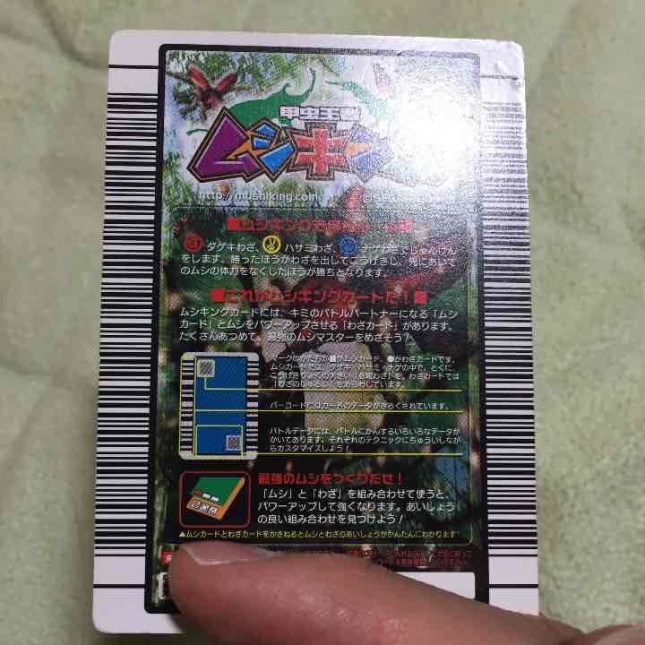 訳アリ確認用。マンディブラリス