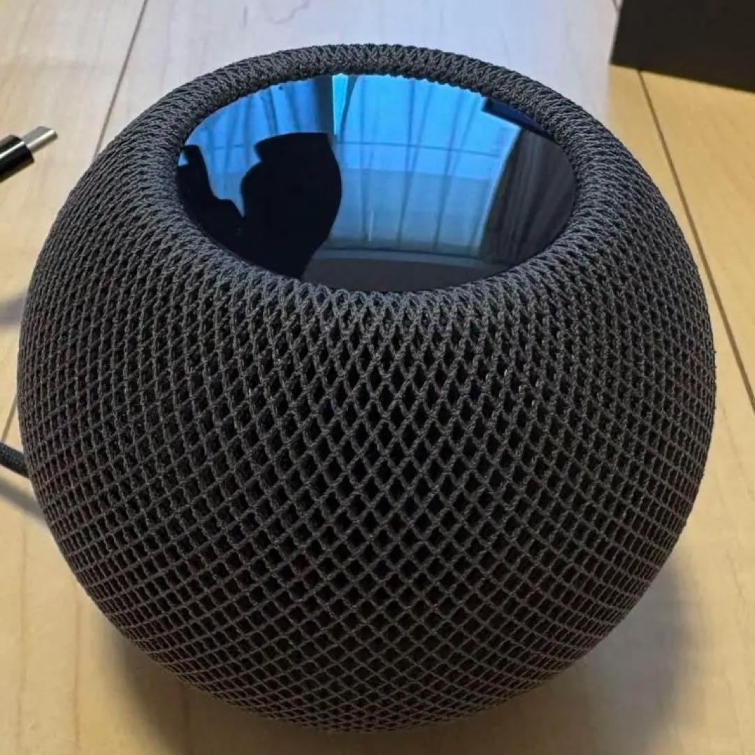 Pod mini スペースグレー　箱付き Apple