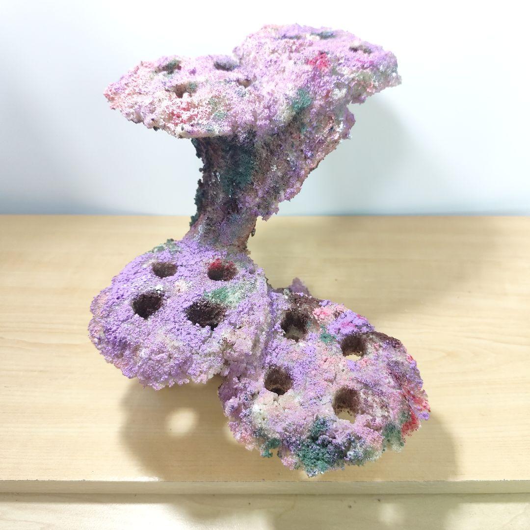 プラグ穴付き アク抜き不要人工ライブロック 海水水槽 レプリカ コーラルフラグ3