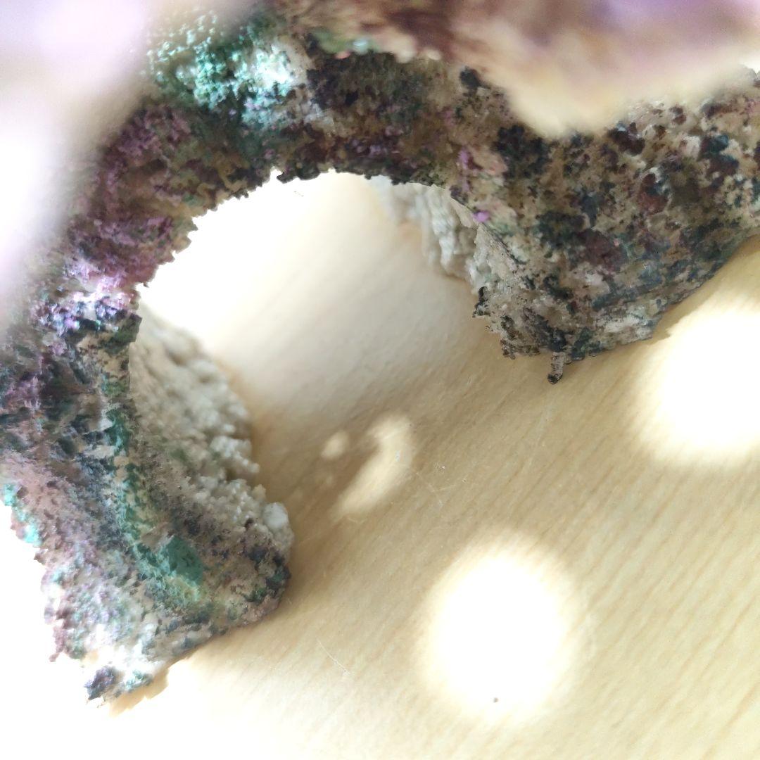 プラグ穴付き アク抜き不要人工ライブロック 海水水槽 レプリカ コーラルフラグ3