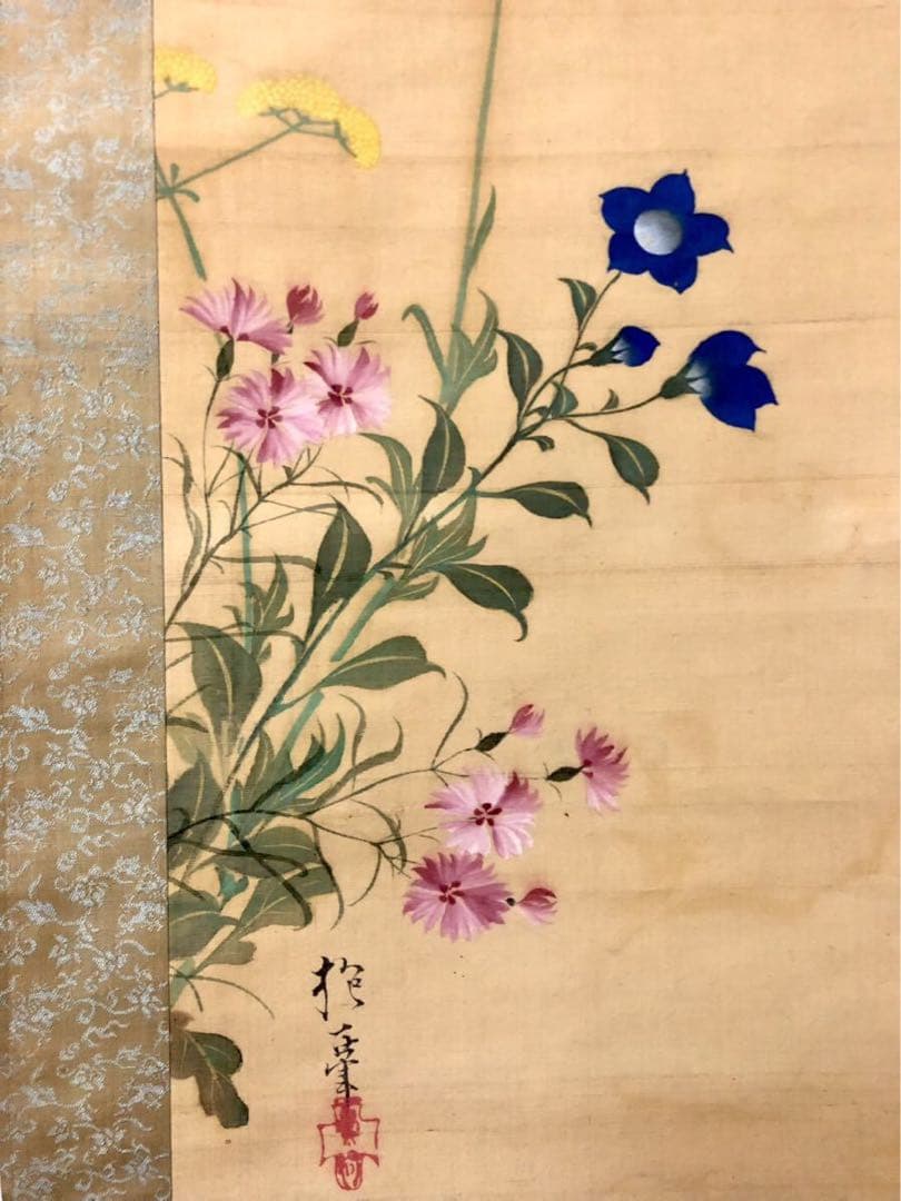 模写　酒井抱一 『秋草之図』 /掛軸 肉筆 時代箱　日本画