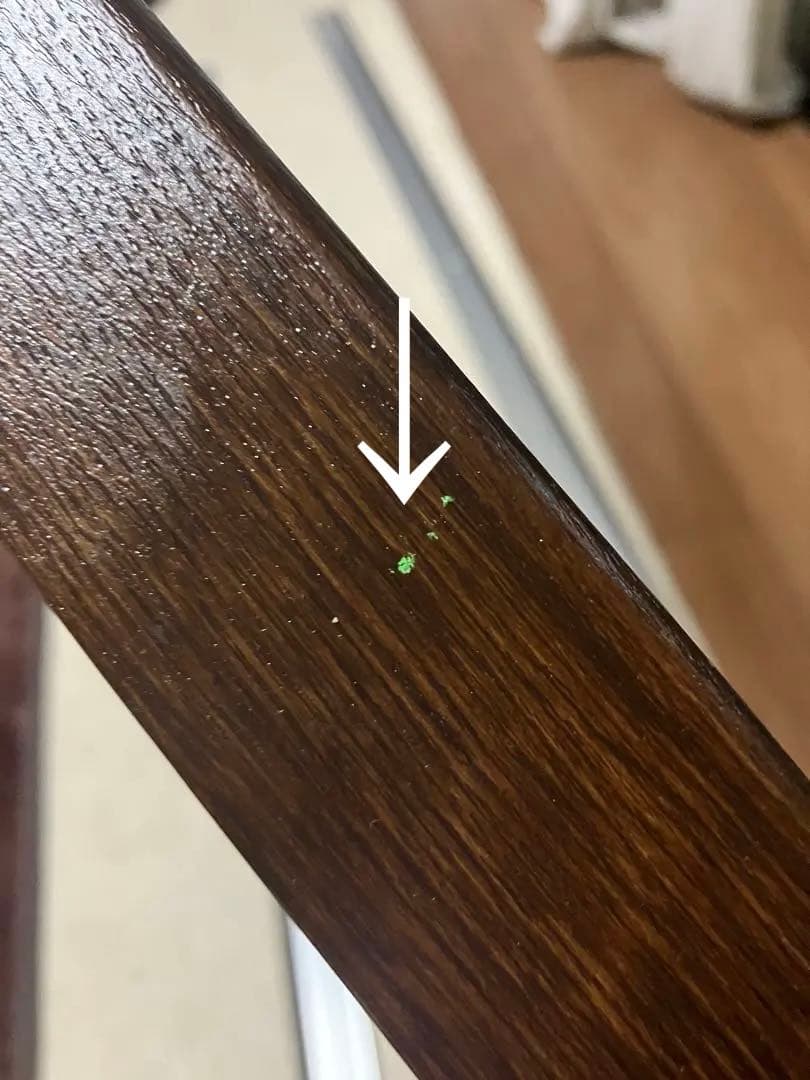 画材　P50中古仮額縁