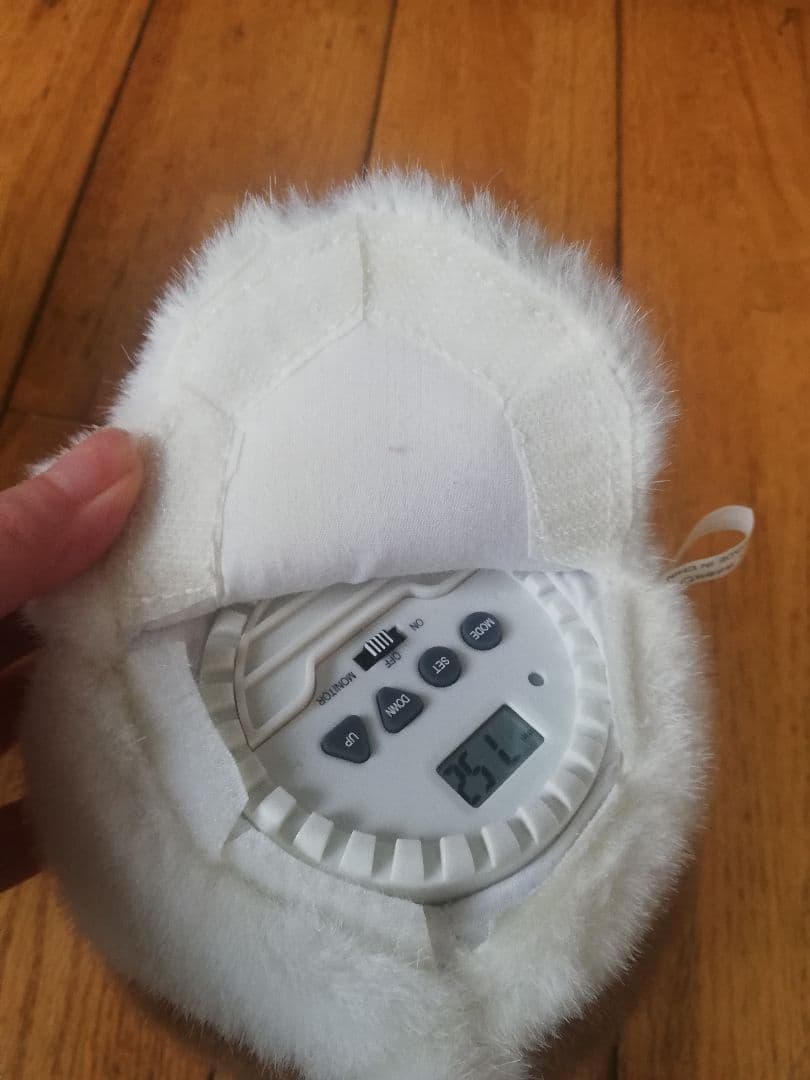 ハムスター倶楽部　ちょこまかチャット　しげっち