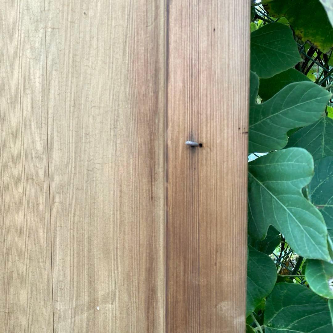 木製ドア 扉 アンティーク建具 木製扉 店舗什器 DIY カフェ