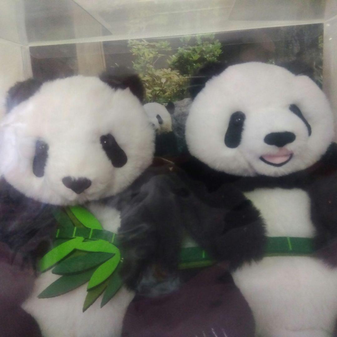 上野動物園　シャオシャオ　レイレイ　ぬいぐるみ