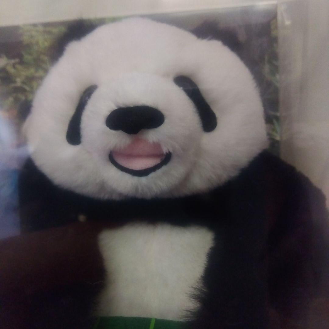 上野動物園　シャオシャオ　レイレイ　ぬいぐるみ