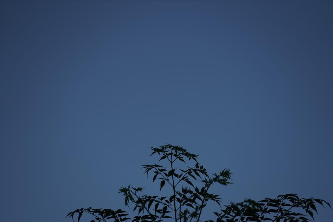 レンズ(ズーム) SONY FE 70-200mm f4 G OSS SEL70200G