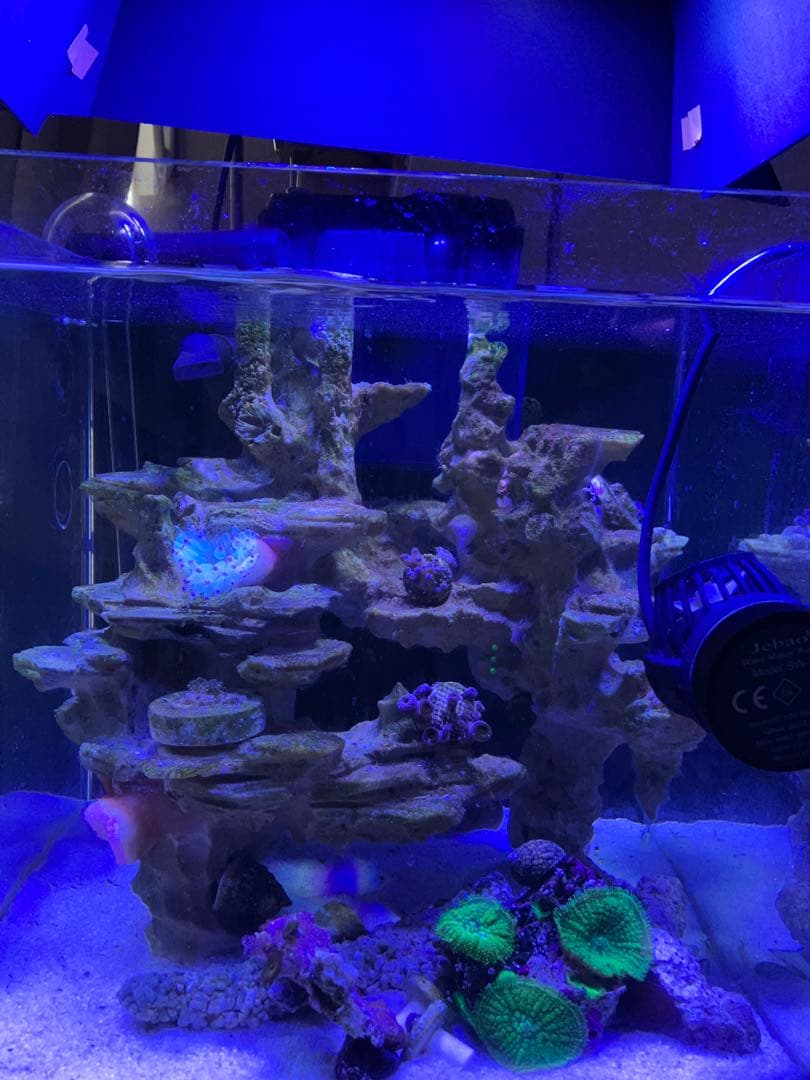 人工ライブロックセット（海水魚、サンゴ、背景、レイアウト、水槽)