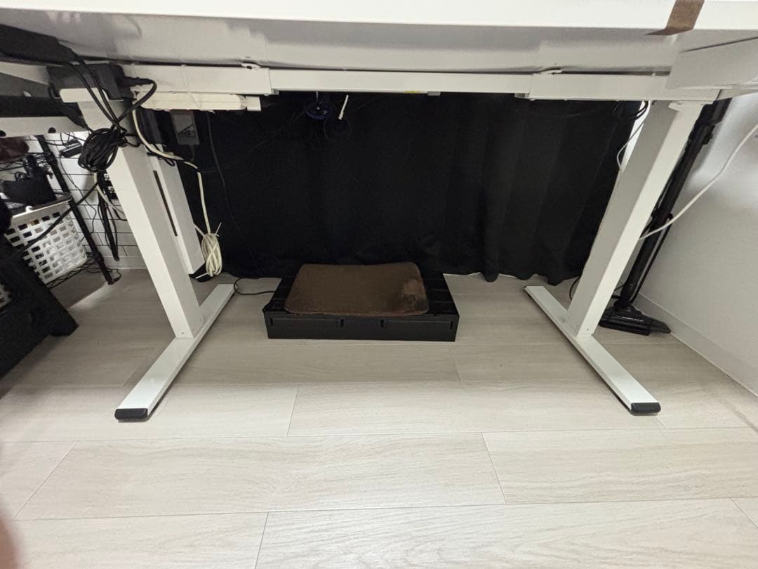 FLEXISPOT EG1W-JA 電動昇降デスク脚のみ　ホワイト